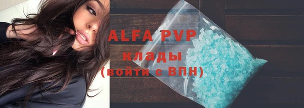тгк Магас