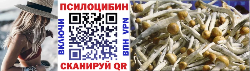 Галлюциногенные грибы мицелий  Купить где  Рыбинск 
